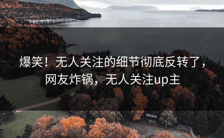 爆笑！无人关注的细节彻底反转了，网友炸锅，无人关注up主