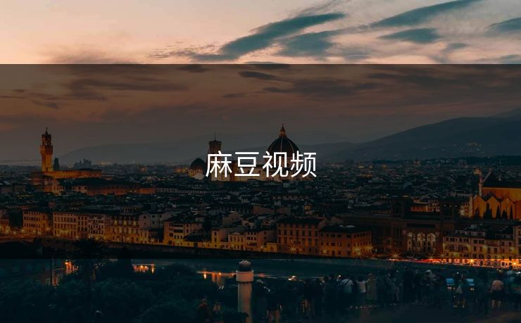 麻豆视频
