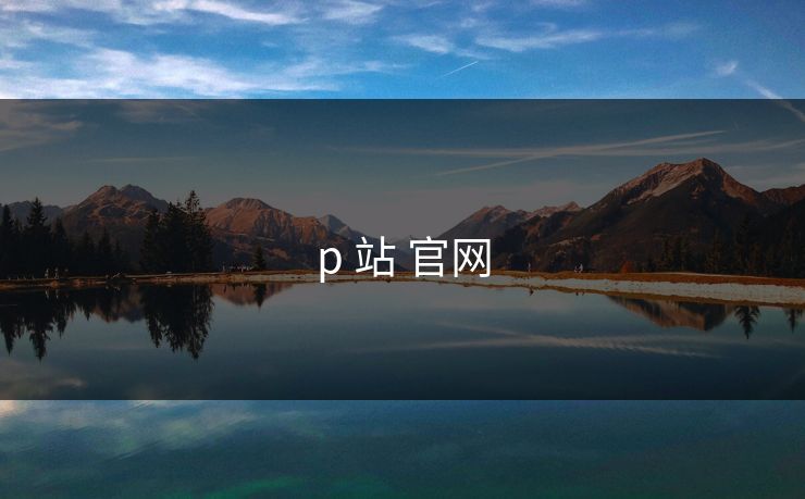 p 站 官网